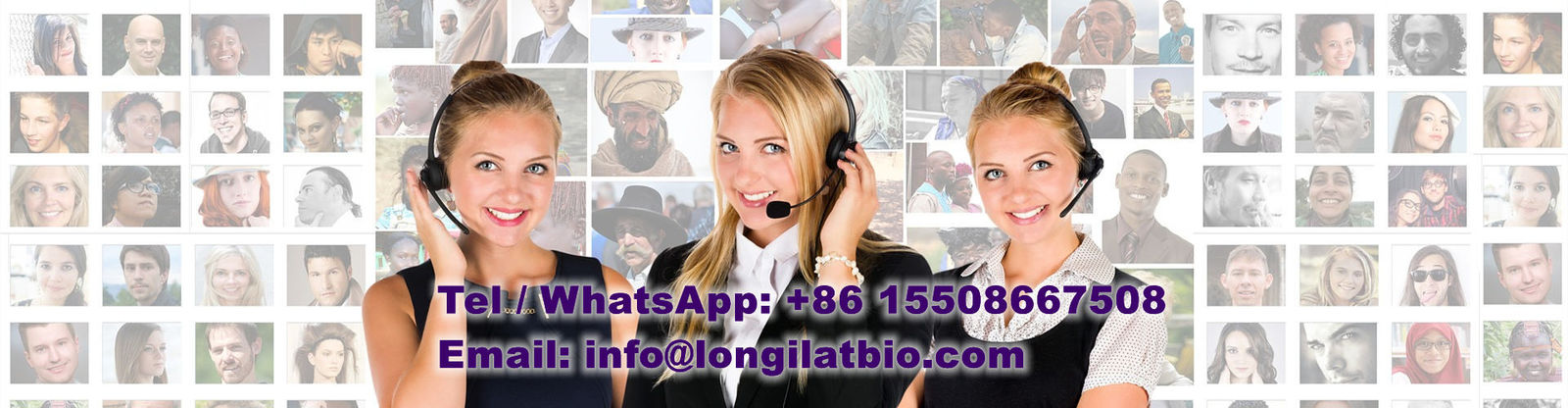 qualità GS-441524 fabbrica