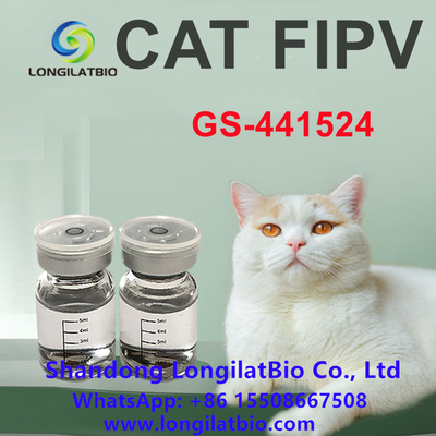 Anti FIP GS 441 20mg/ML del gatto di trattamento di FIP di FIP Remdesivir