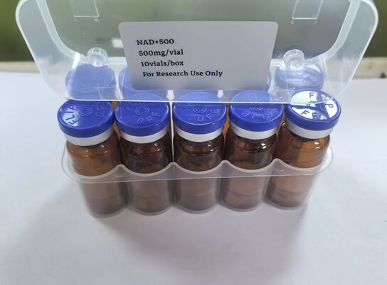 Vial liofilizzati ad alta purezza NAD+ 500 mg NAD in polvere iniettabile per il supporto energetico e anti-invecchiamento