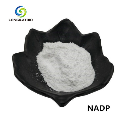 Fosfato del dinucleotide dell'adenina della Beta-nicotinammide della polvere di NADPH+